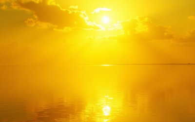 The Enduring Allure of Yellow: A Journey Through Sunshine and Shadows